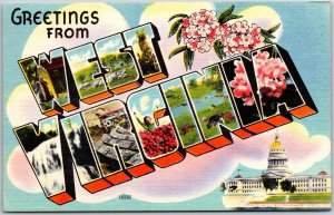 West Virginia WV, Large Letter Greetings Waterfalls, Flowers, Mountains Postcard