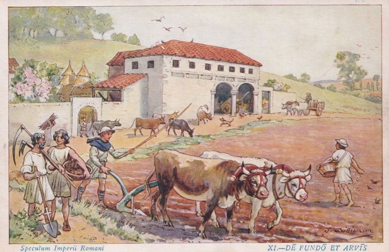 Cattle Farming at Roman Forum Italian Latin School Old Card