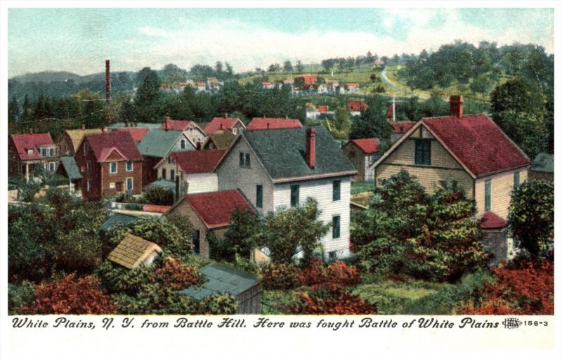 19142   Aerial View of White Plains NY