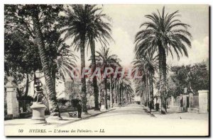 Old Postcard Hyeres L & # 39Avenue of Palms