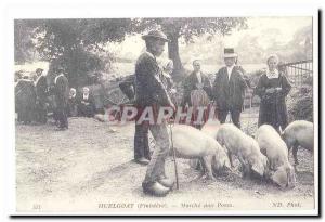 COPYRIGHT Huelgoat (Finistere) Old Postcard Walk pigs