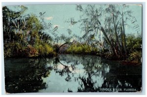 1912 Scenic View Tomoka River Daytona Florida FL Nature Scene Vintage Postcard 