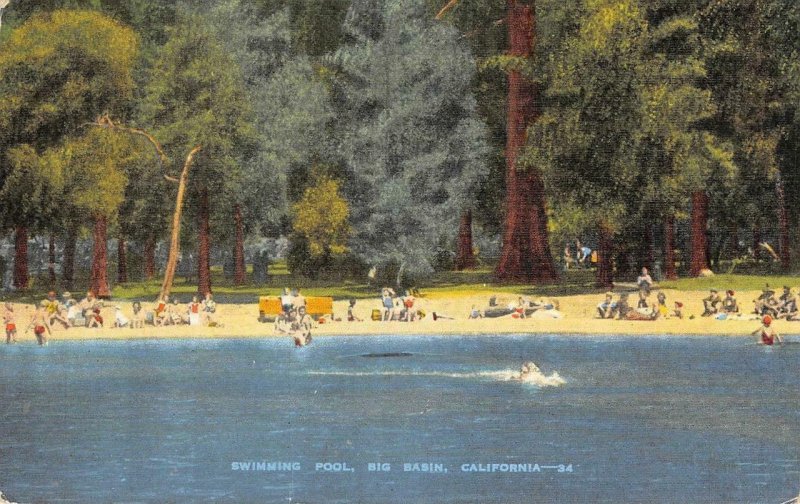 Swimming Pool BIG BASIN, CA Santa Cruz County c1940s Vintage Postcard