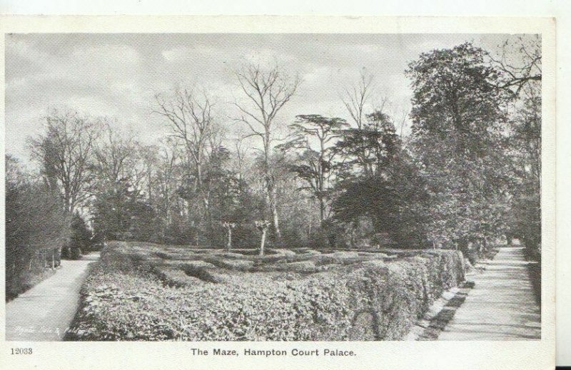 Middlesex Postcard - The Maze - Hampton Court Palace - Ref TZ10516