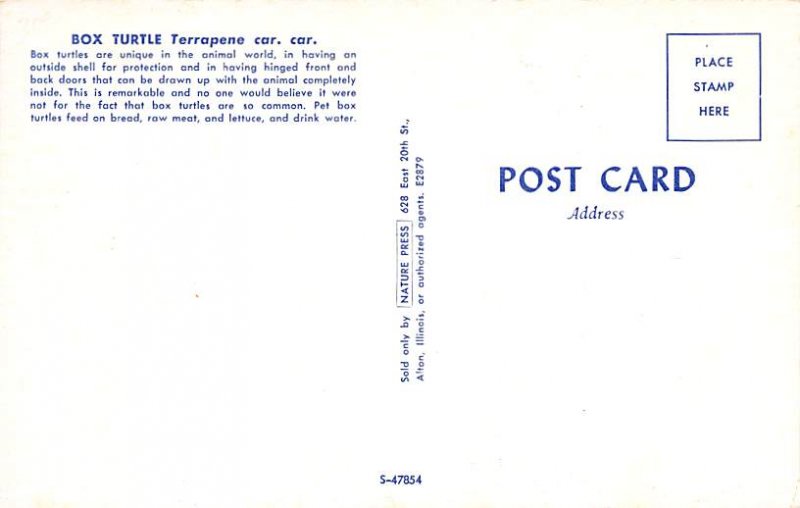 Fish/Sea Mammals Box Turtle Unused