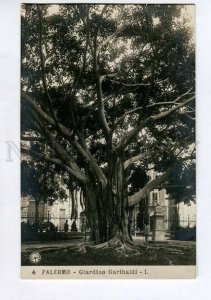 415633 ITALY PALERMO Garibaldi Garden Vintage NPG photo postcard