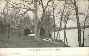 Chelsea MI Cavanaugh Lake c1910 Vintage Postcard