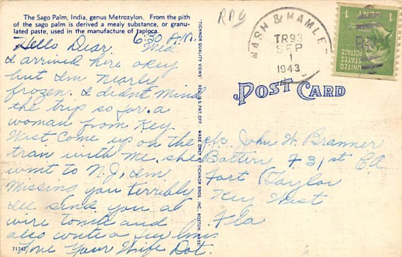 Sago palms Florida, USA R.P.O., Rail Post Offices PU 1943 
