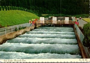 Oregon Columbia River Bonnelville Dam Fish Ladder