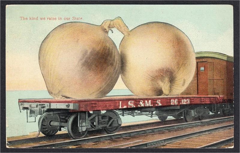 Giant Onions on LS&MS Railroad Flatcar Exaggeration Comic Postcard 1900s-1910s