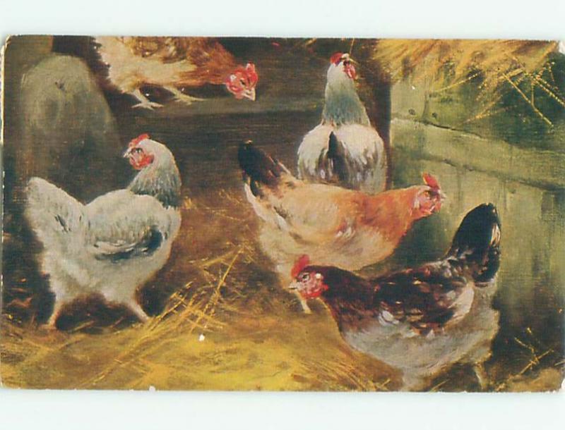 Divided-Back BIRDS SCENE Pretty Postcard AA8972