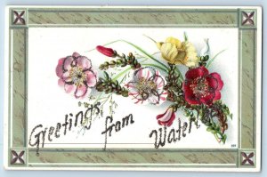 Waterloo Iowa IA Postcard Greetings Border Flowers And Leaves c1910's Antique