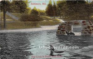 Sea Lions, Druid Hill Park Baltimore MD 1914