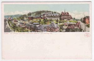 Panorama Hot Springs Arkansas Detroit Pub postcard