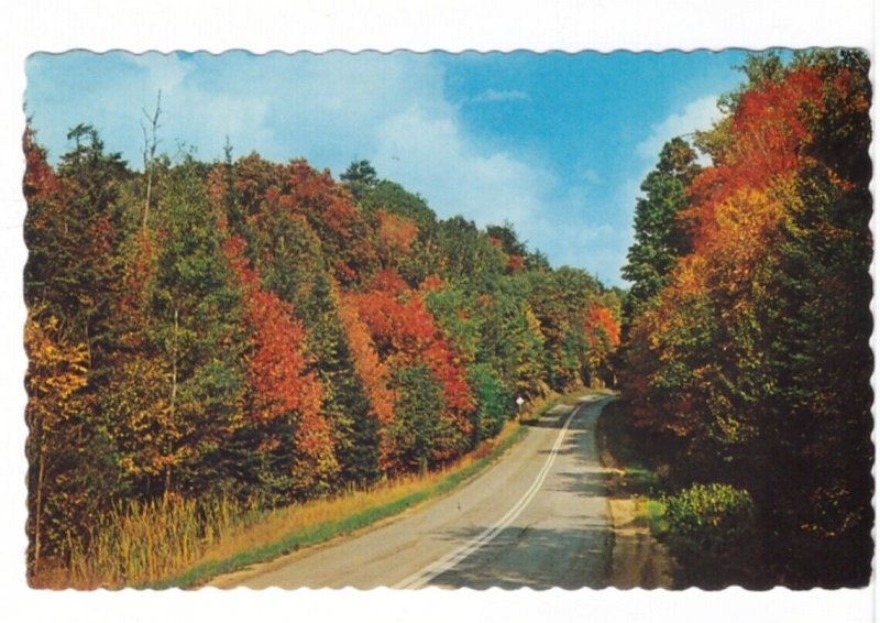 Fall Colours, Highway, Greetings From Huntsville, Ontario, Vintage 1972 Postcard