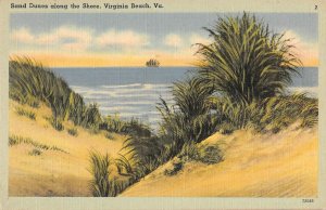Sand Dunes along the Shore VIRGINIA BEACH, VA c1930s Linen Vintage Postcard