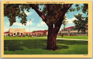 Glimpse Of New Junior College Phoenix Arizona AZ Big Tree Grounds Postcard