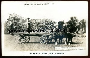 3131 - SANDY CREEK Quebec 1930s Exaggeration Wheat Harvest. Real Photo Postcard