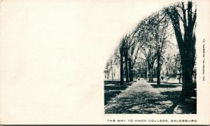 Vtg Galesburg Illinois IL The Way to Knox College Sidewalk pre-1907 Postcard