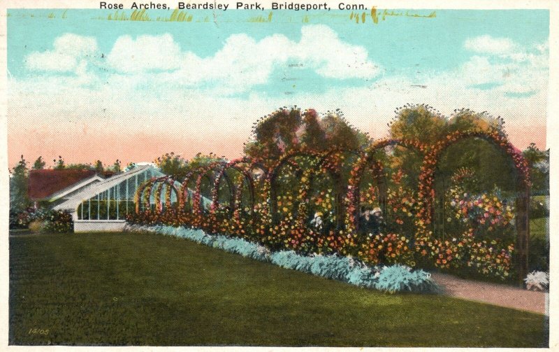Vintage Postcard 1926 Rose Flowers Arches Beardsley Park Bridgeport