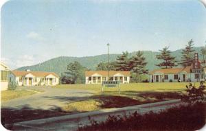 Asheville North Carolina Buena Vista Motel Vintage Postcard J52965