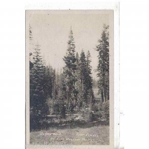 RPPC-Glassy Lake,Camp Elwell on Line Western Pacific