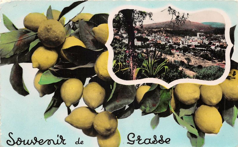 Lot 75 souvenir de grasse france lemon