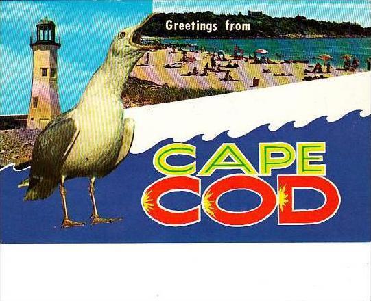 Massachusetts Cape Cod Greetings From