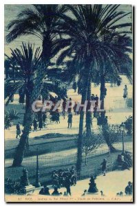 CARTE Postale Old Nice Gardens of King Albert I Palms Study