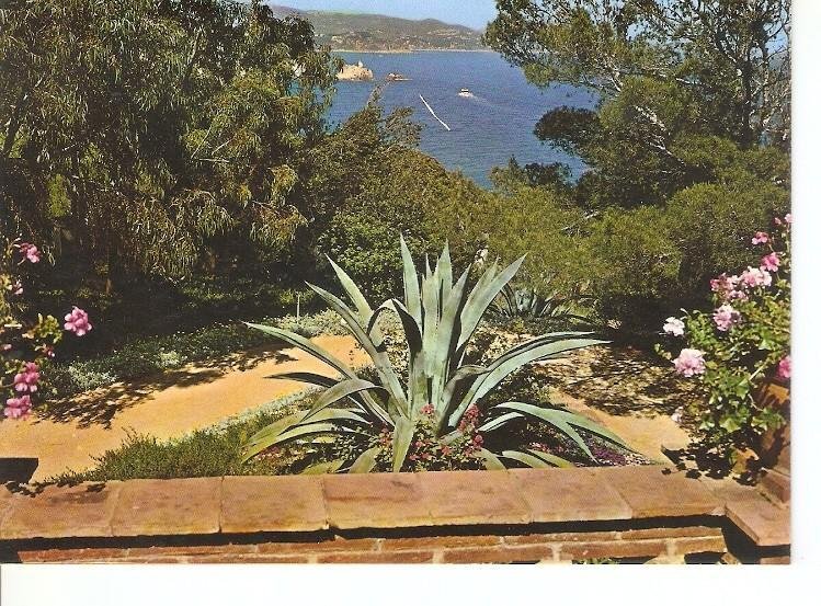 Postal 048725 : Blanes - Costa Brava. Fundacion Carlos Faust. Jardin Botanico...