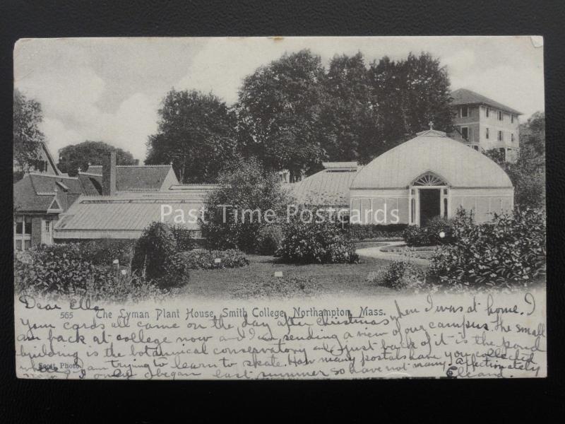 America MASS Northampton SMITH COLLEGE Lyman Plant House c1906 UB Postcard