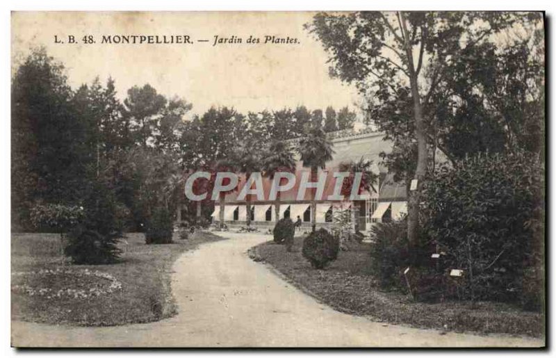 Old Postcard Montpellier Jardin des Plantes