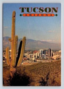 Tucson Arizona City View Saguaro Cacti  - Continental Postcard