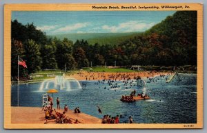 1948 Mountain Beach Invigorating Williamsport Pennsylvania PA Posted Postcard 