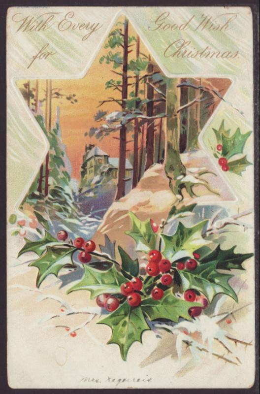 With Every Good Wish for Christmas,Star,Holly Postcard