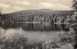 BG7481 hinterzarten hochschwarzwald mathiesleweiher  germany CPSM 14x9cm