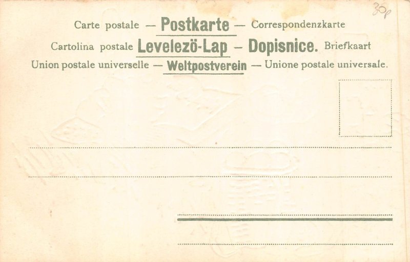 Easter Greetings Humanized Rabbits Egg Dwarf Mushroom embossed postcard C317