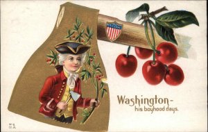 George Washington as a Boy Axe Border c1910 Vintage Postcard