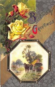 Birthday Greetings Flowers Horse Pastoral View Satin Finish Postcard