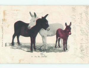 Divided-Back ANIMAL SCENE Great Postcard AA9545