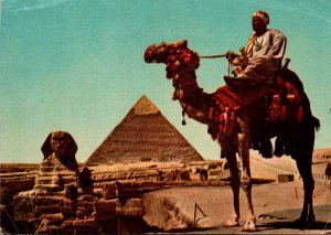 Egypt The Great Shinx Of Giza and Khefren Pyramid With Camel Rider