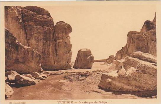 Tunisia Dans les Gorges du Seldja