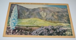 973 Arrowhead and Yucca San Bernardino Mts. California Postcard Longshaw Card Co