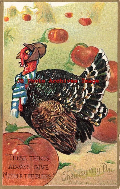 Thanksgiving, Tuck No 162, Dressed Turkey in Pumpkin Patch