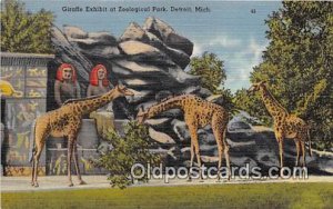 Giraffe Exhibit, Zoological Park Detroit, Mich, USA