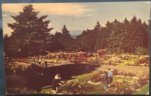 Postcard Used Rose Test Gardens, Portland, OR LB