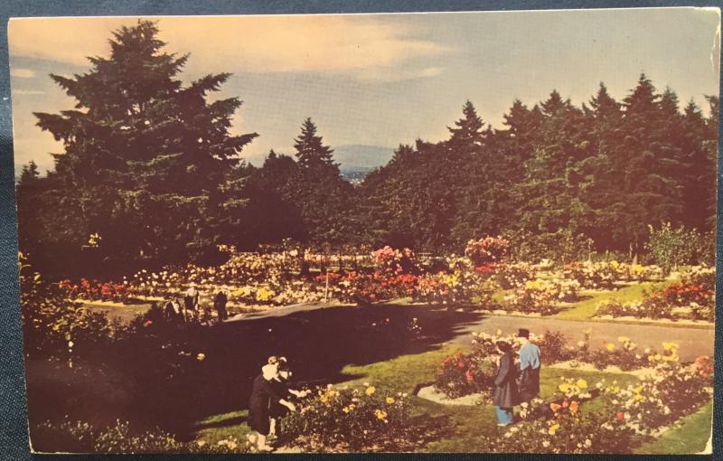 Postcard Used Rose Test Gardens, Portland, OR LB