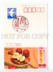419854 JAPAN 1996 year apples ADVERTISING postal postcard POSTAL stationery