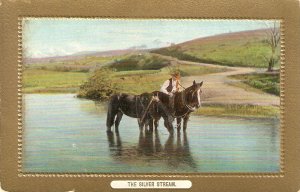 Horses in The Silver StreamVintage English    postcard