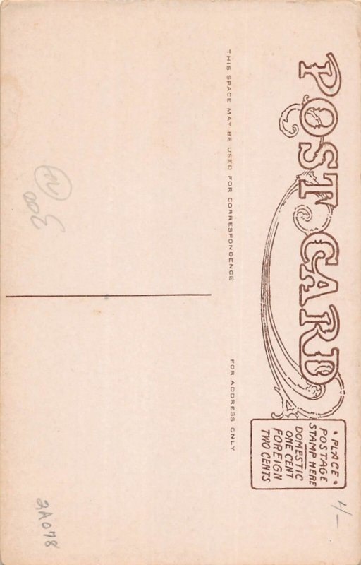 J77/ Teddy Bear Postcard c1910 Comic Toy Prodidence Rhode Island 341